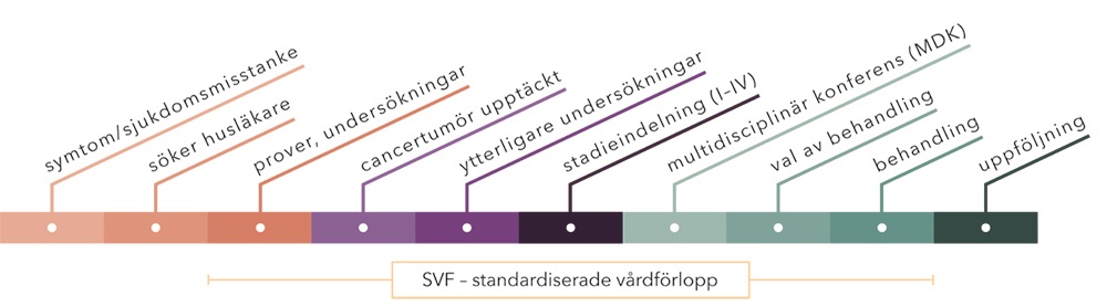 tidslinje-img